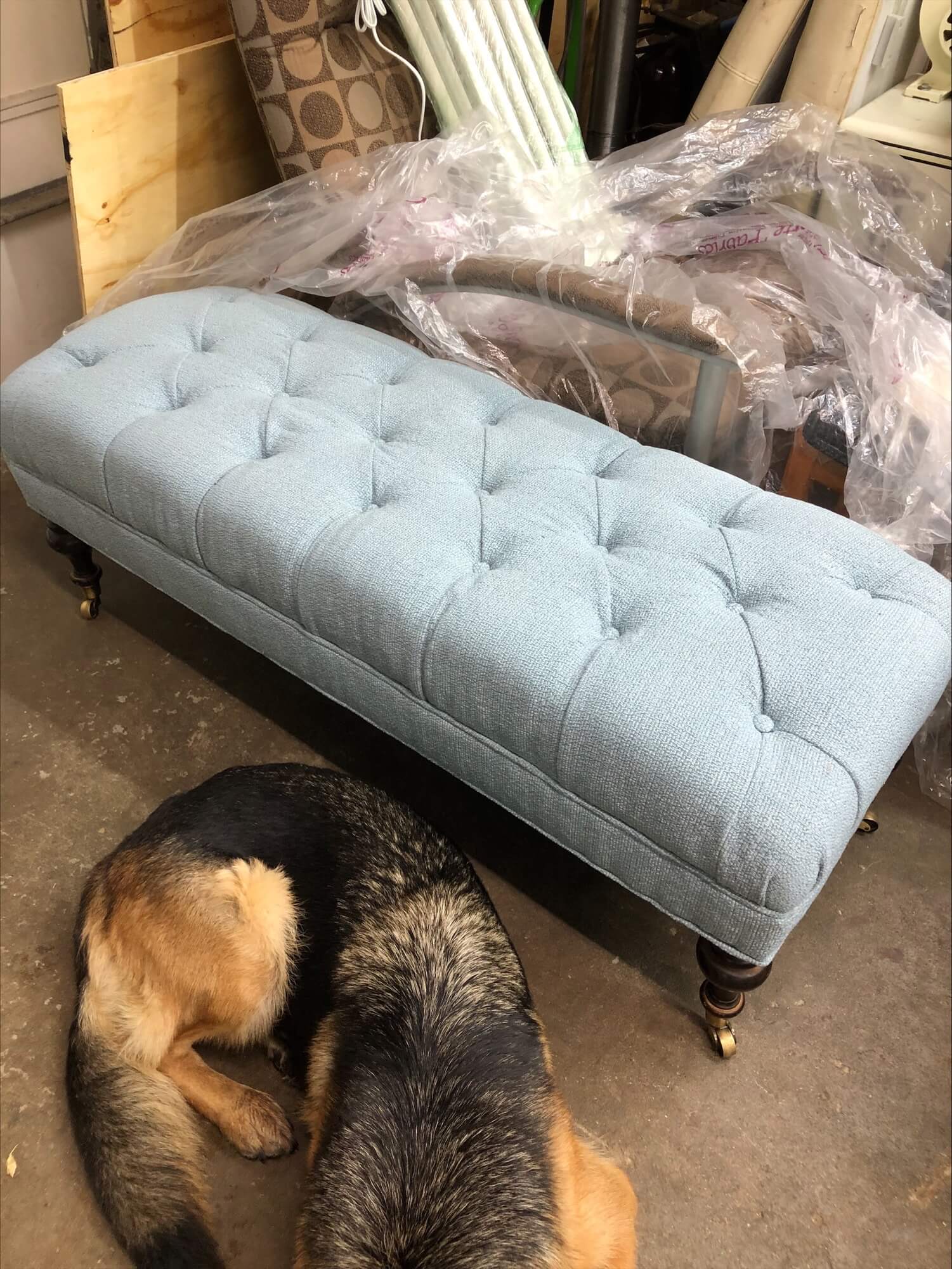 A light blue tufted bench rests on a concrete floor, surrounded by clutter, with a curled-up dog partially visible beneath it.
